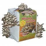Agrochema NORAT G - 7 x 20 g sáčky Agrochema NORAT G - 7 x 20 g sáčky