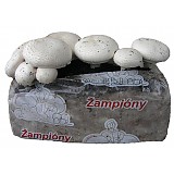 Agrochema NORAT G - 7 x 20 g sáčky Agrochema NORAT G - 7 x 20 g sáčky